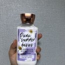 Body picnic 이미지