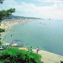 무창포해수욕장 이미지