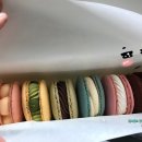 무니스(moonies) | 대구 무니스 마카롱을 아시나요??