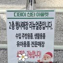 디올즈 - 의정부시 | 디올즈