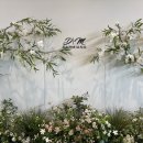 다르미앙 이미지