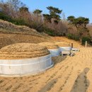 증조부모님, 할아버지,할머니,아버지 산소 이미지