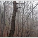 먹뱅이골 이미지