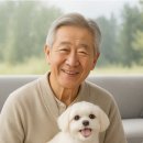 옥시메디 이미지