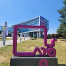 성남시청 이미지