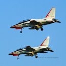 ROKAF T-50/TA-50/FA-50 이미지