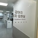 우리집동물병원 | 우리집 반려견 믿고 맏기는 황금동물병원