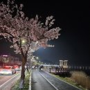 경포대주차장 이미지