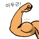 블러썸PT 이미지