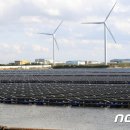 수재태양광발전소 이미지