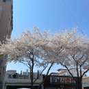 대구고성동우체국 이미지