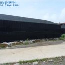 표선리-1 이미지