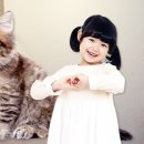 반려동물 애견 미용 이미지