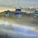 소나무리조트 이미지