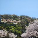 월미로189번길 이미지