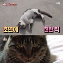 미륵농장 이미지