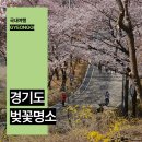 중리천로113번길 이미지