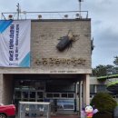 반디랜드 곤충박물관 | 아이와 가볼만한 곳 무주 여행코스 추천, 무주 반디랜드 곤충박물관 후기