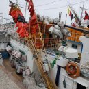 범칙어선 행정처분 등 - 수산관계법령위반행위 이미지