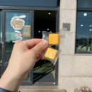 비빔사계 이미지