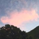 고란길(길안면) 이미지