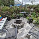 개미펜션 이미지