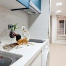 골드스타공인중개사사무소 이미지