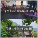 동교길 | 선산점핑 다이어트 성공후기,그주인공은 바로 당신🩷