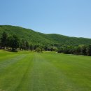 천지골프 이미지