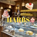 히카리케이크 | [도쿄 카페] 시부야 하브스(HARBS) 히카리에 신큐스점 후기 | 도쿄 케이크 맛집 추천, 인기 디저트 메뉴...