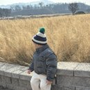 노스페이스 남원점 | 노스페이스 키즈 점퍼 NJ1DR59S 그레이 걸즈 글로우 디테처블 다운자켓 숏패딩 110사이즈 후기