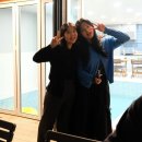 알테르문디 이미지