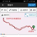 선광사 - 서귀포시 | 선광사