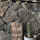 플레이스엉물 이미지