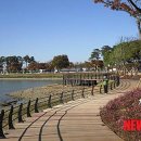 생태와대구 이미지