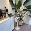 뷰티솔루션 | 세종 보람동 메이크업샵 추천 ! 제이뷰티솔루션 체험 후기