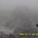 욱일농원 이미지