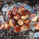 흙과 나무 이미지