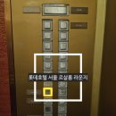 르서울호텔 | 롯데호텔 서울 이그제큐티브 타워 르살롱 라운지 후기