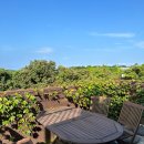 평대스테이 이미지