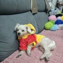 (주)헤이든 이미지