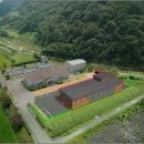 대곡면-11 이미지