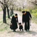 자연 애개 이미지