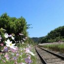 동명스님 &#34;현수막 설치는 무도한 행위&#34; 공문 /금일 선학 워크숍,조별토론 및 사례발표 등 (9/22,법회장 현안보고) 이미지