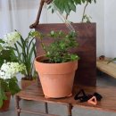 원예가드닝 이미지