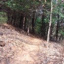 공지산 둘레길 이미지