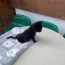 별장횟집 | 마음 반죽