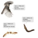 (주)덕강 - 3869 | (주)덕강