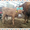 지수농장 이미지