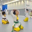 청룡태권도장 이미지